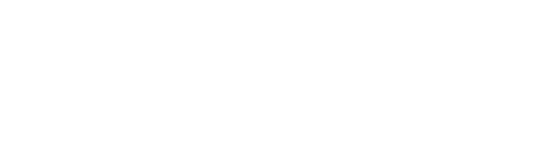 PKF New Zealand