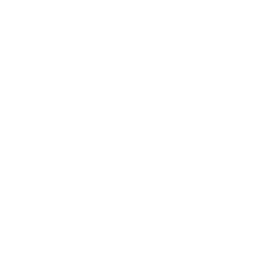 Wellington Phoenix